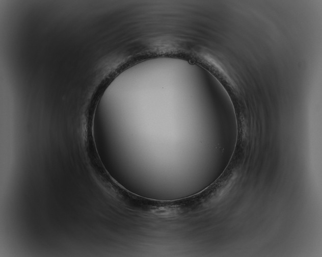 X0000095930447200801111258