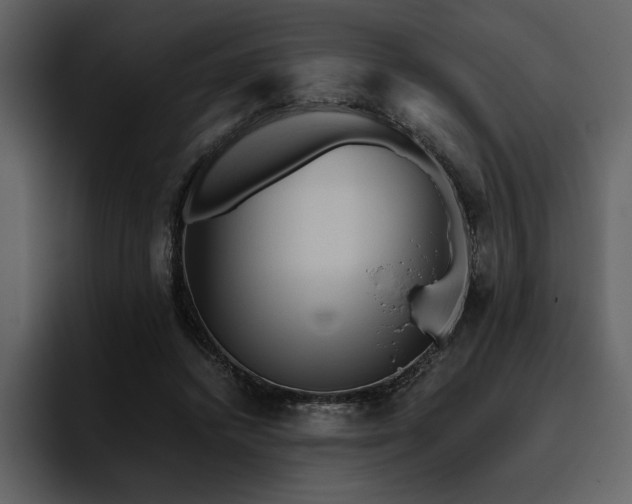 X0000095930448200801111258