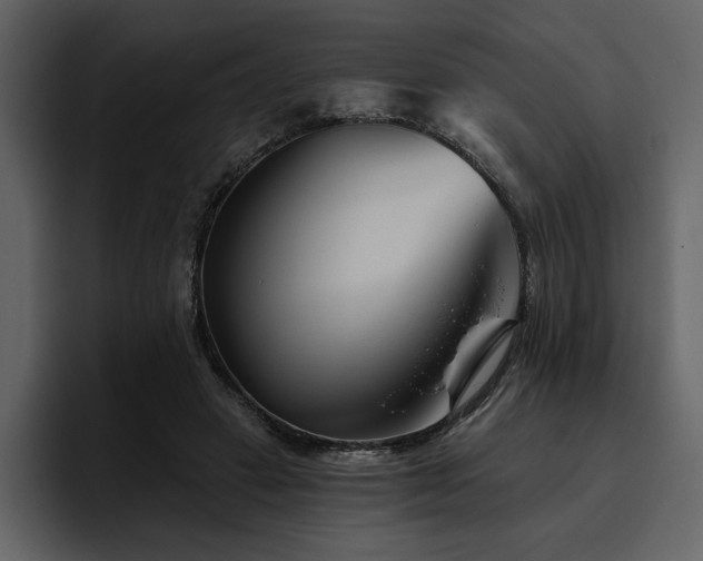 X0000095930449200801111258