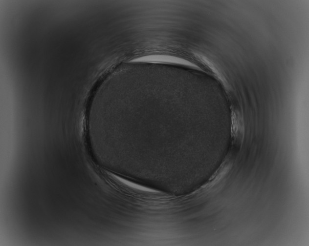 X0000095930451200801111258