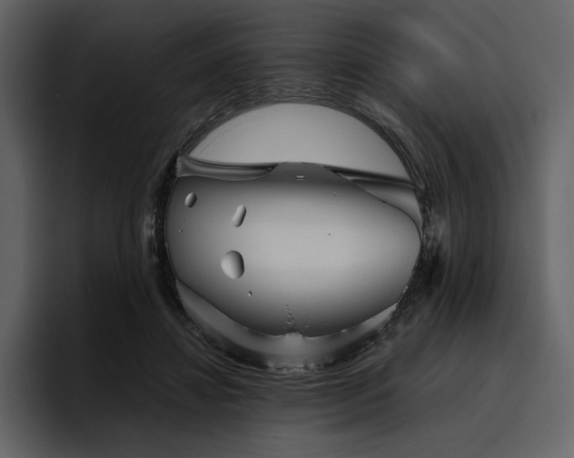 X0000095930452200801111258