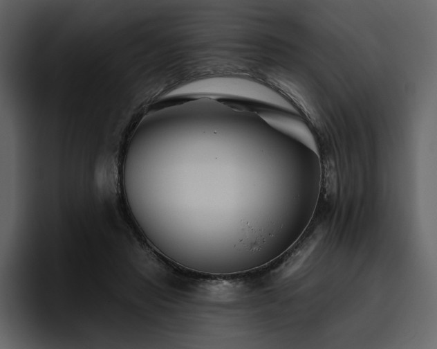 X0000095930453200801111258