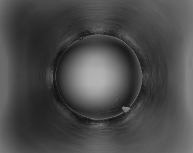 X0000095930454200801111258