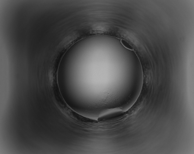 X0000095930455200801111258