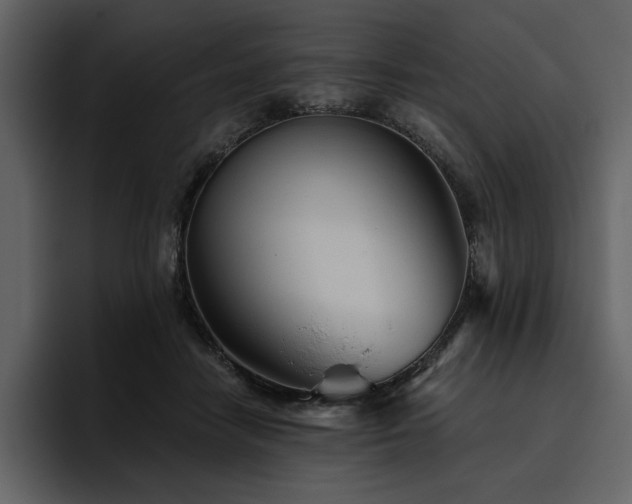 X0000095930458200801111258