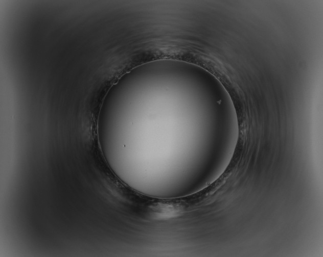 X0000095930464200801111258