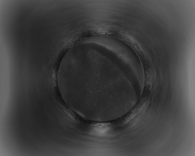 X0000095930465200801111258