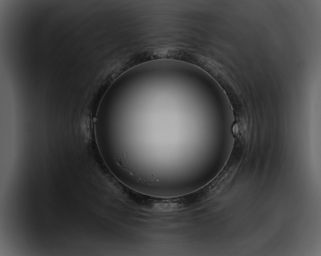 X0000095930470200801111258