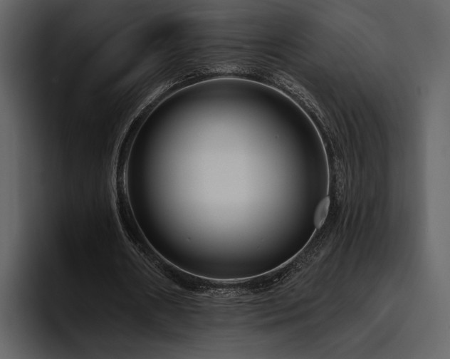 X0000095930482200801111258