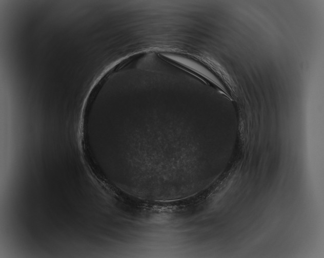 X0000095930484200801111258