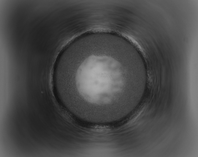 X0000095930487200801111258