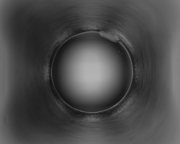 X0000095930489200801111258