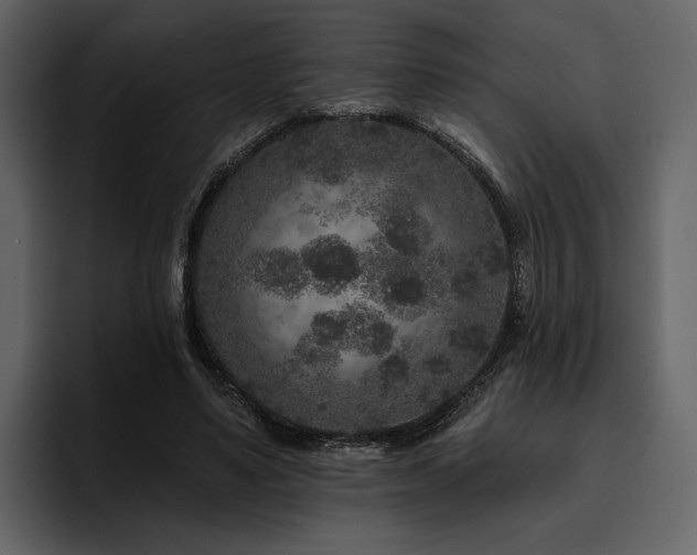 X0000095930491200801111258