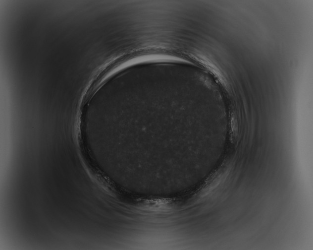 X0000095930492200801111258