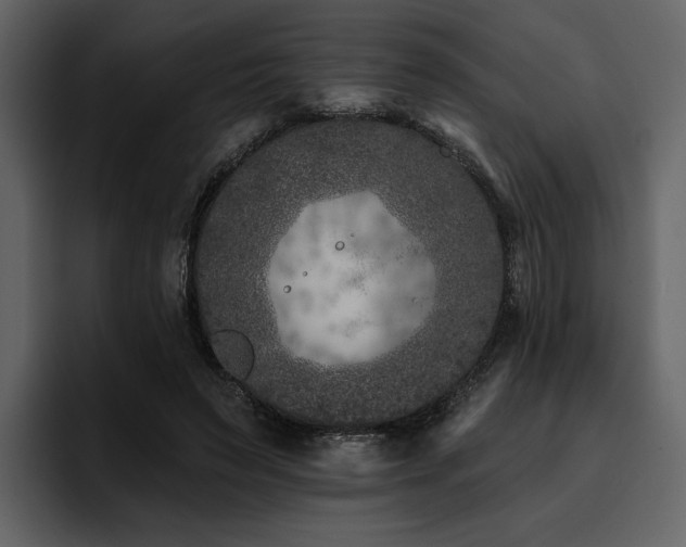 X0000095930495200801111258