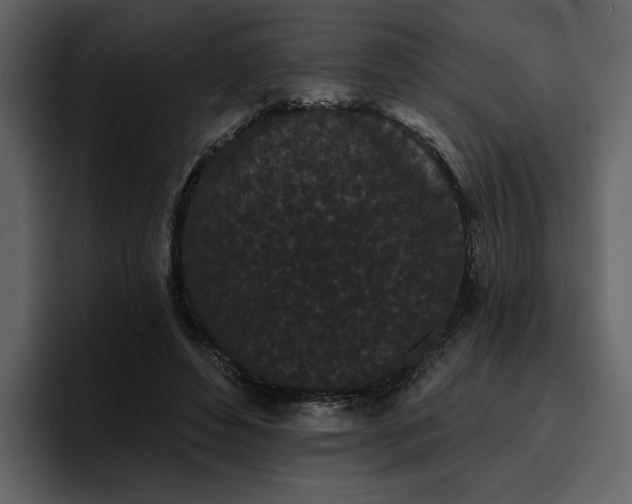 X0000095930496200801111258