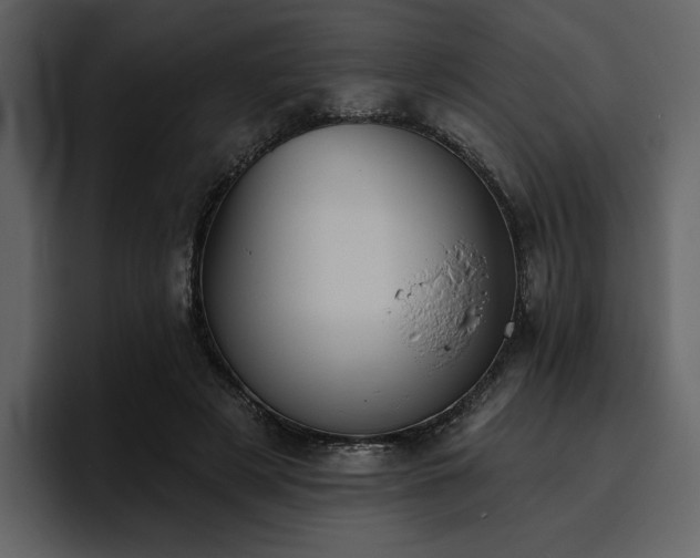 X0000095930497200801111258