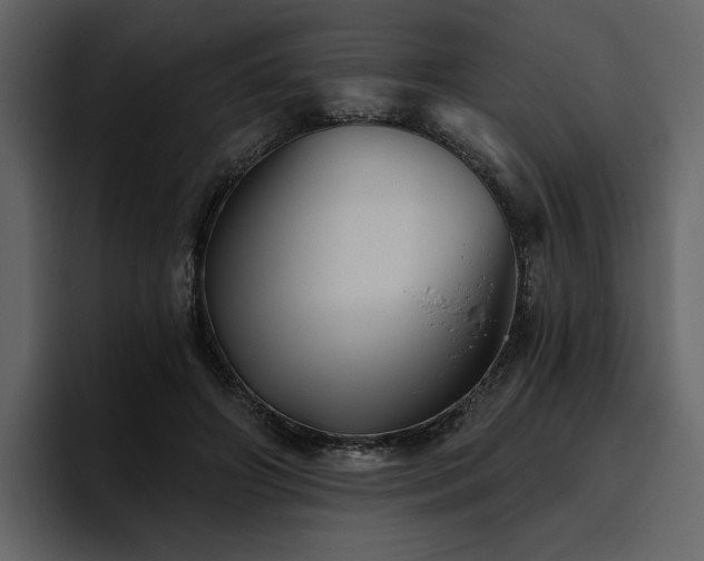 X0000095930498200801111258