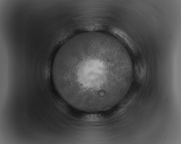 X0000095930499200801111258