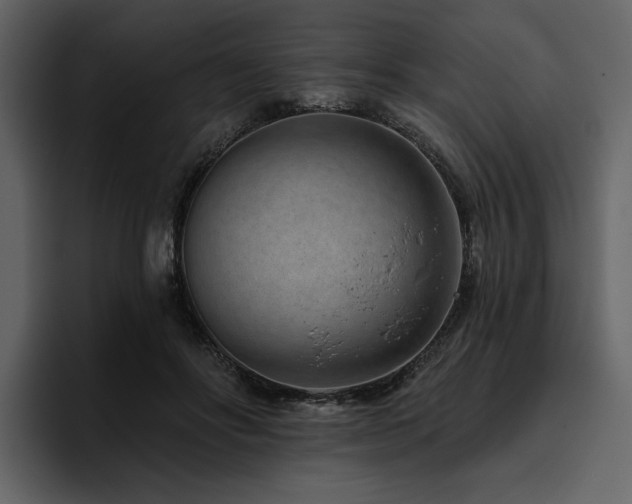 X0000095930502200801111258