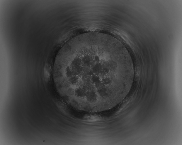 X0000095930503200801111258
