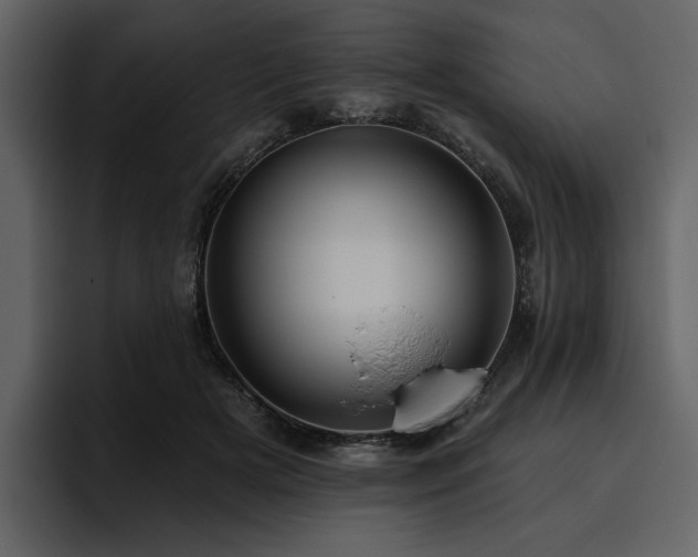 X0000095930505200801111258