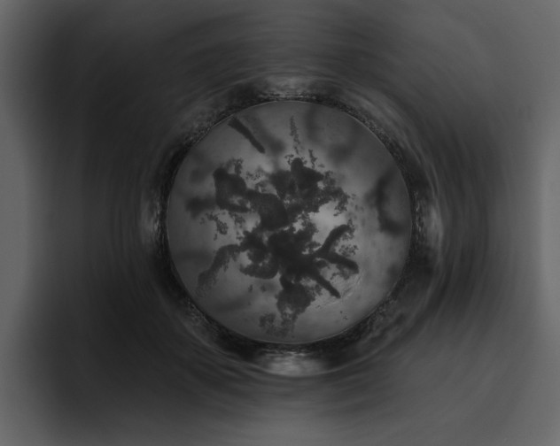 X0000095930507200801111258