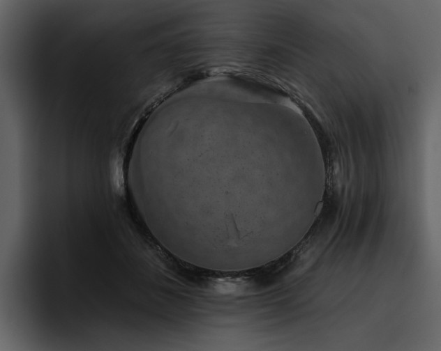 X0000095930508200801111258