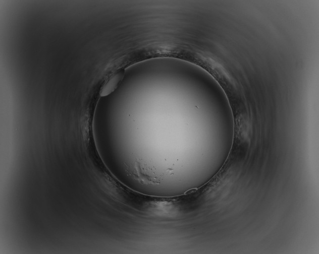 X0000095930509200801111258