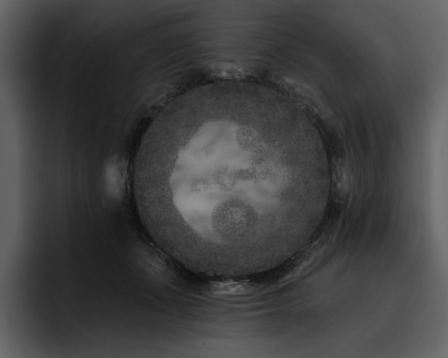 X0000095930511200801111258