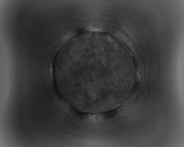 X0000095930520200801111257