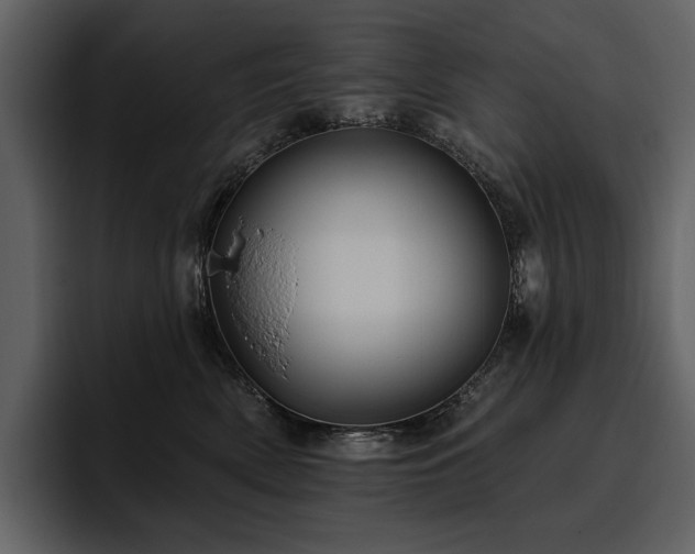 X0000095930522200801111257
