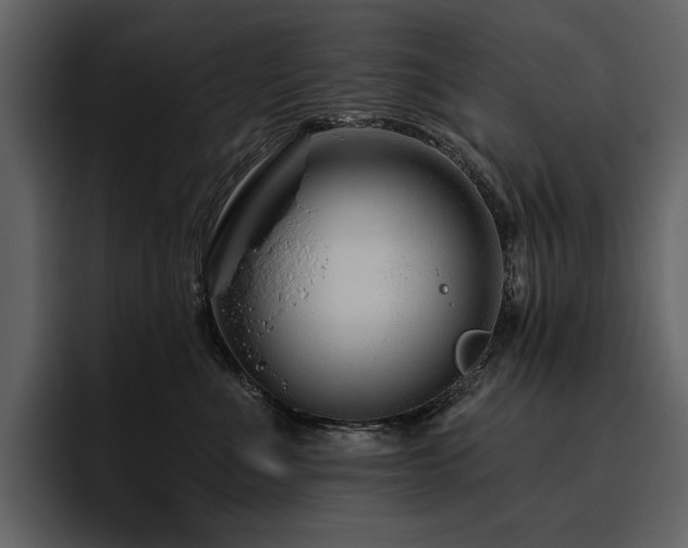 X0000095930523200801111257