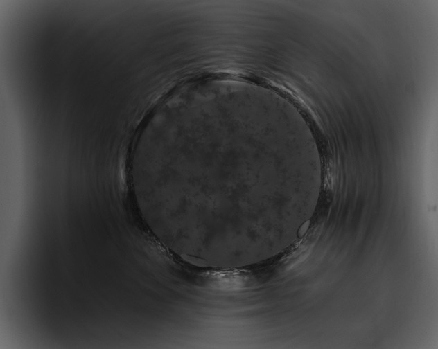 X0000095930524200801111257