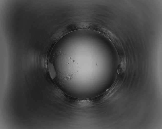 X0000095930525200801111257