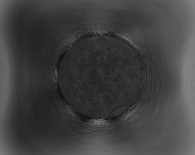 X0000095930528200801111257