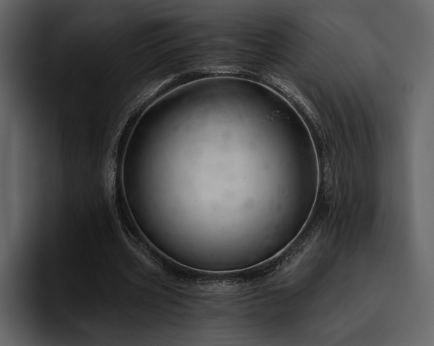 X0000095930533200801111257