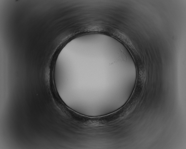 X0000095930534200801111257