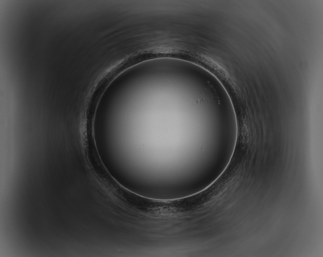 X0000095930535200801111257