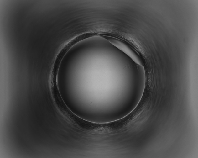X0000095930536200801111257