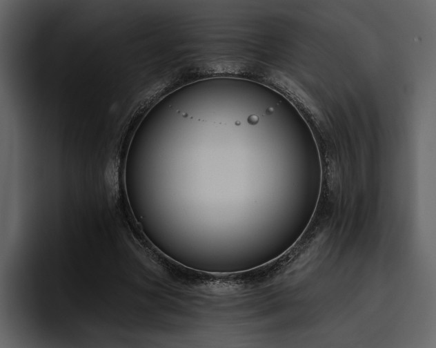 X0000095930537200801111257