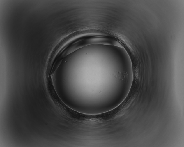 X0000095930540200801111257