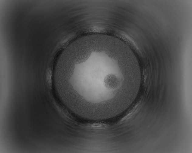 X0000095930542200801111257