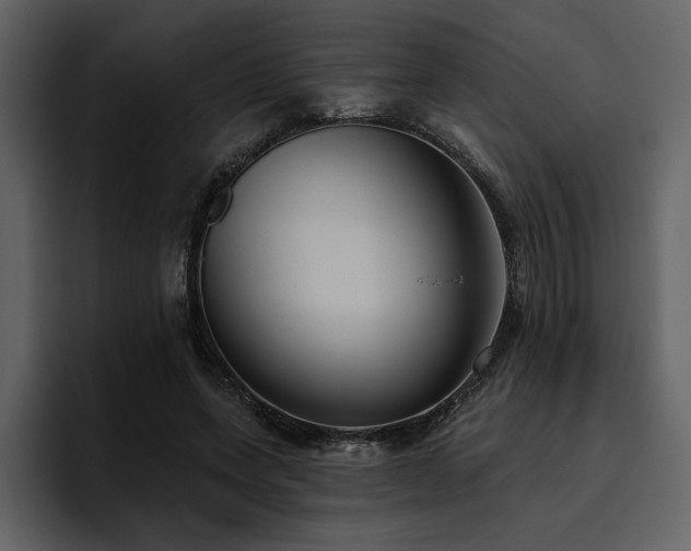 X0000095930543200801111257