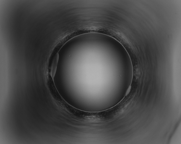 X0000095930544200801111257