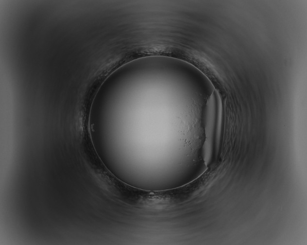 X0000095930546200801111257