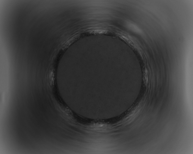 X0000095930551200801111257