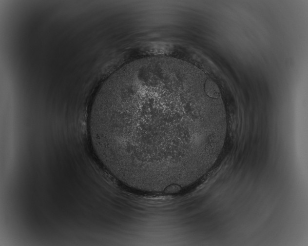 X0000095930553200801111257