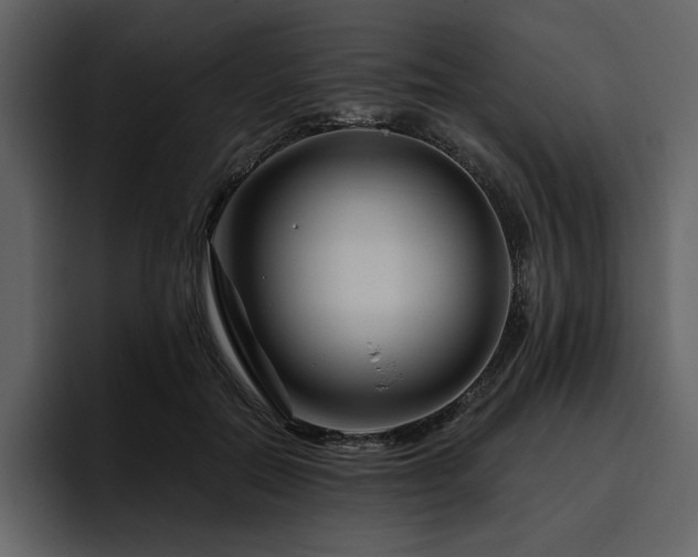 X0000095930554200801111257