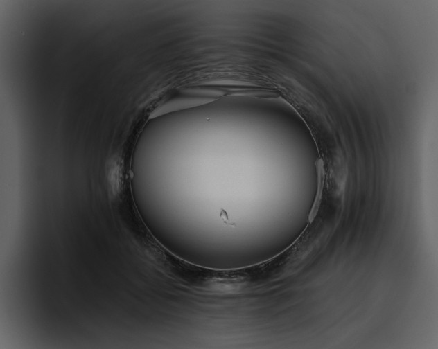 X0000095930556200801111257